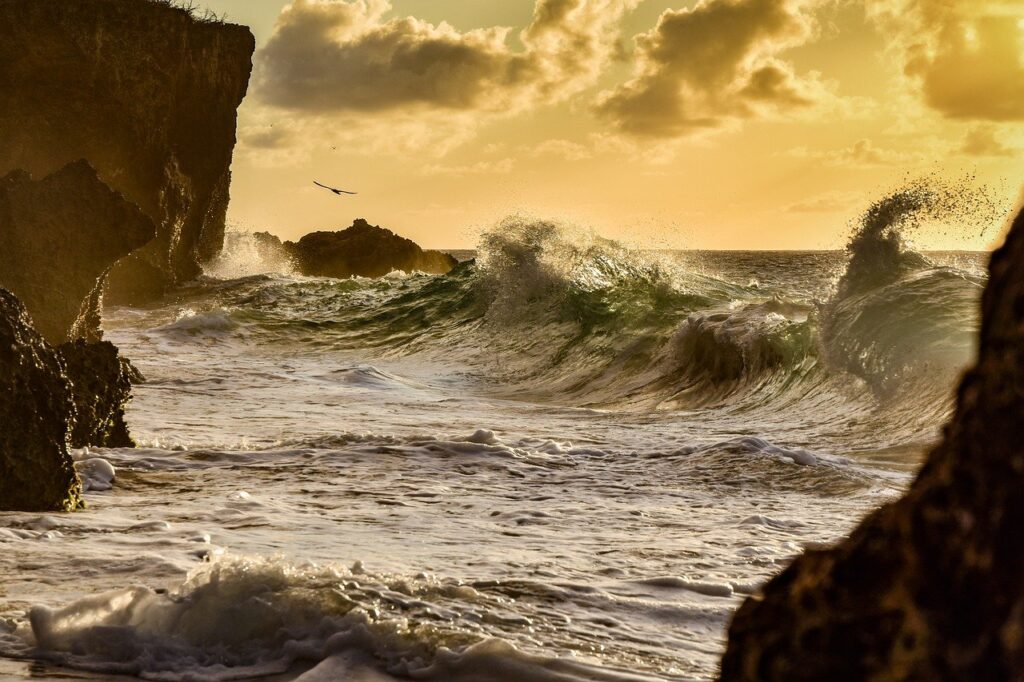 plongez dans l'univers vibrant des caraïbes avec 'caribbean memory'. découvrez des récits envoûtants, des traditions riches et des paysages à couper le souffle qui capturent l'essence d'une culture unique.
