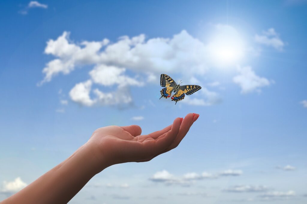 découvrez le concept de la foi, une force intérieure qui nous guide et nous inspire à travers les épreuves de la vie. explorez son impact sur notre quotidien et comment elle peut transformer notre perspective.