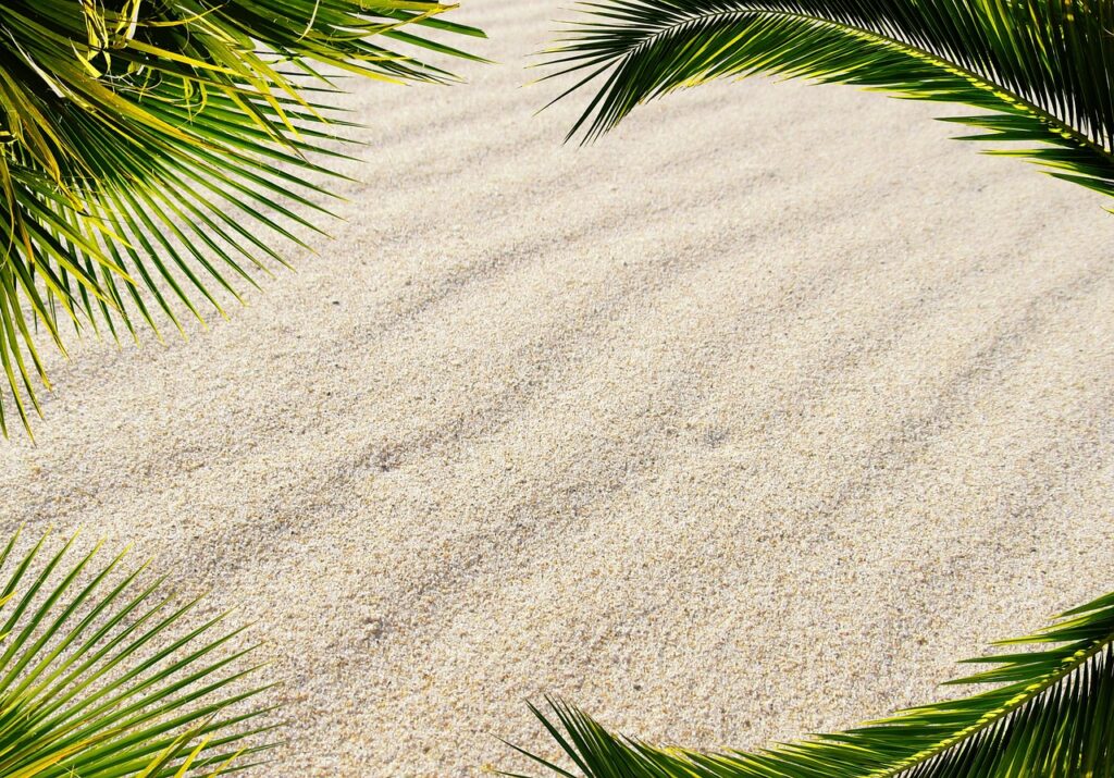 découvrez les merveilles des caraïbes : plages de sable fin, eaux turquoise, cultures vibrantes et une biodiversité exceptionnelle. plongez dans un monde de détente, d'aventure et d'évasion au cœur de cette région ensoleillée.