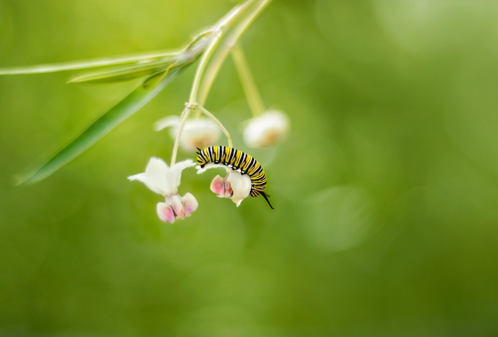 découvrez le pouvoir de la transformation dans votre vie. apprenez comment surmonter les obstacles, adopter de nouvelles habitudes et améliorer votre bien-être à travers des stratégies pratiques et inspirantes.