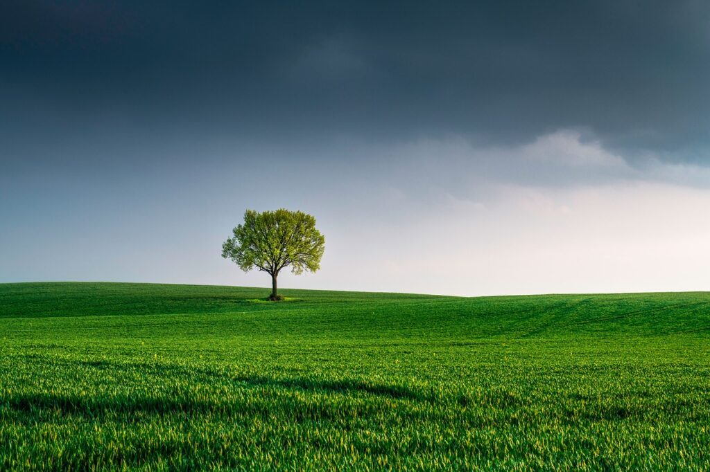 découvrez l'importance de la protection de l'environnement, les défis écologiques actuels et les solutions pour un avenir durable. explorez les initiatives, les conseils pratiques et les engagements individuels qui peuvent contribuer à la préservation de notre planète.