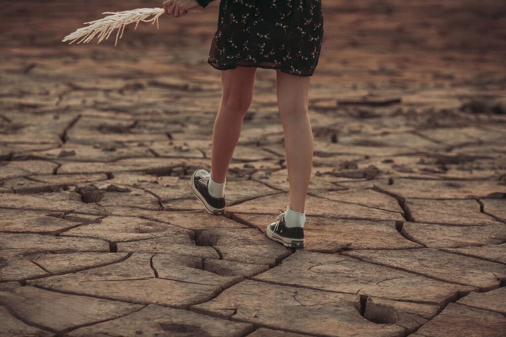 découvrez le monde fascinant des émotions, leur impact sur notre quotidien et comment les comprendre peut transformer nos vies. explorez la richesse des sentiments, de la joie à la tristesse, et apprenez à les gérer pour un bien-être durable.