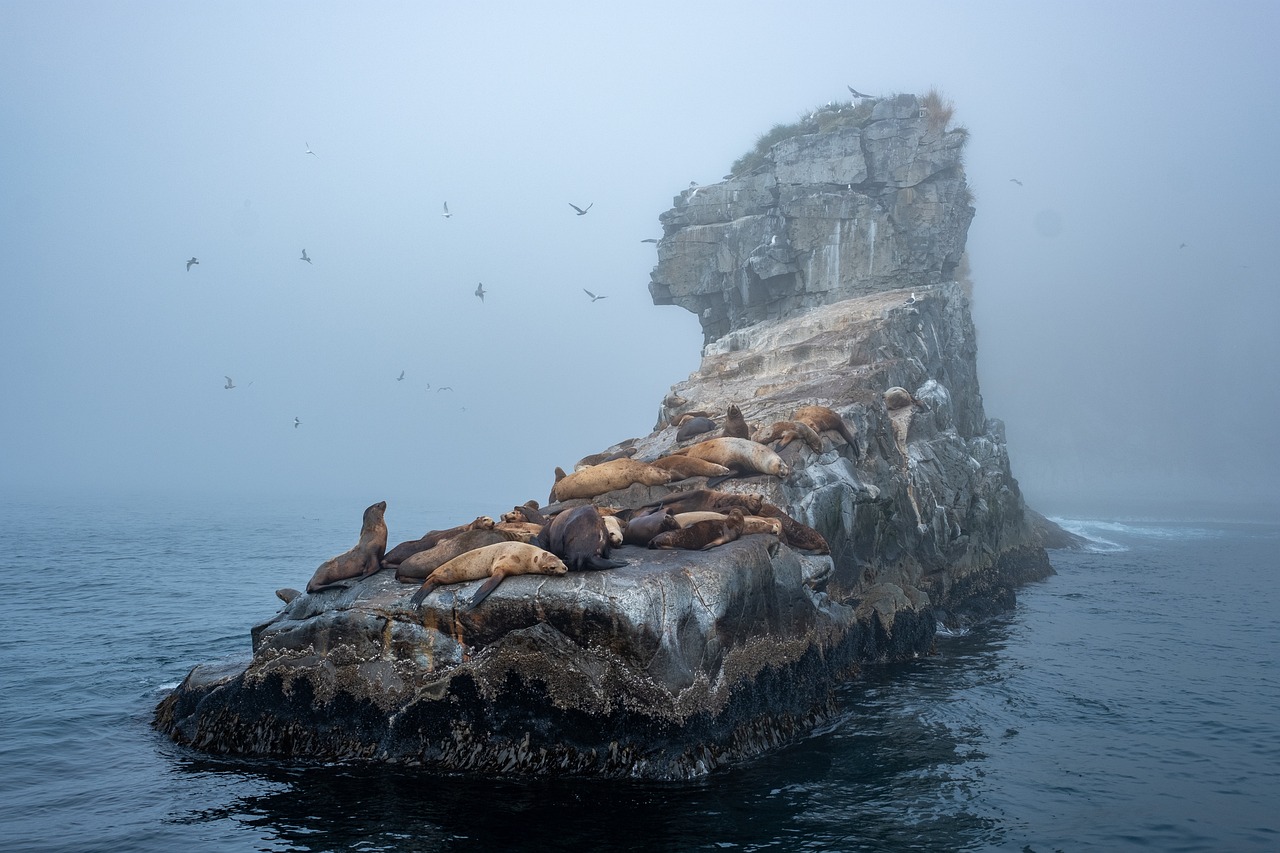 L'île des souvenirs perdus