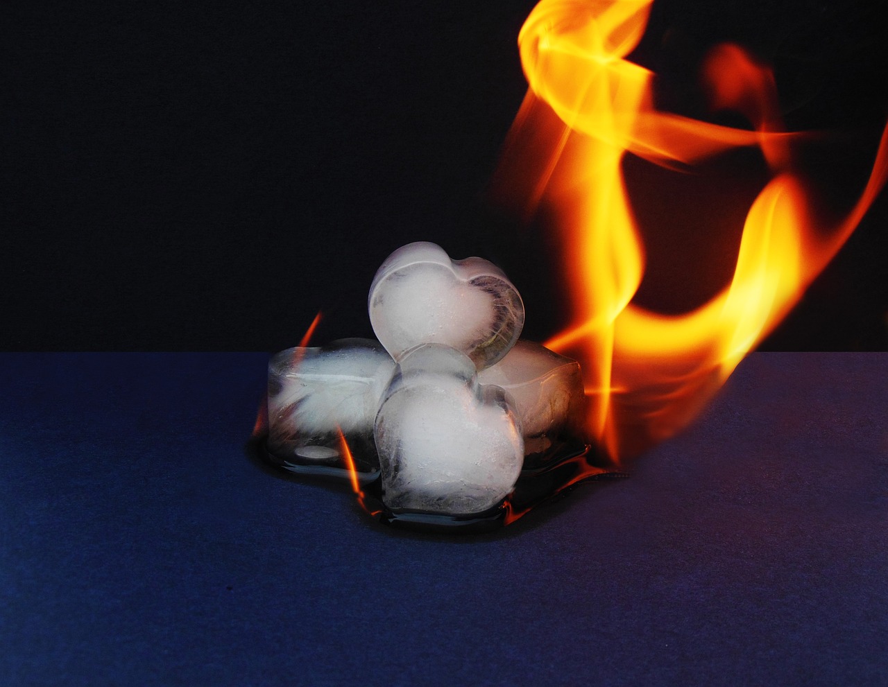 découvrez l'univers captivant de la passion : une exploration des émotions intenses, des motivations profondes et des activités inspirantes qui rendent la vie plus riche et plus significative. que vous soyez passionné par l'art, la musique, le sport ou d'autres domaines, plongez dans des récits inspirants et des conseils pratiques pour nourrir votre flamme intérieure.