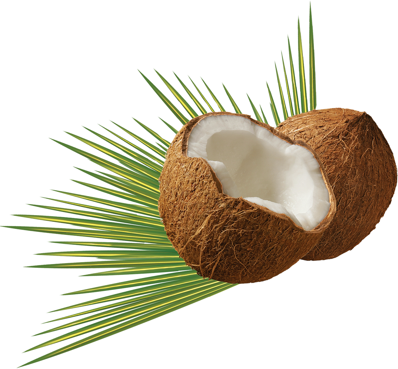 découvrez l'essence des caraïbes à travers 'caribbean memory', une plongée envoûtante dans la culture, les paysages et les souvenirs qui font vibrer cette région enchanteresse. revivez les traditions, les saveurs et les couleurs des îles tout en explorant leur histoire unique.